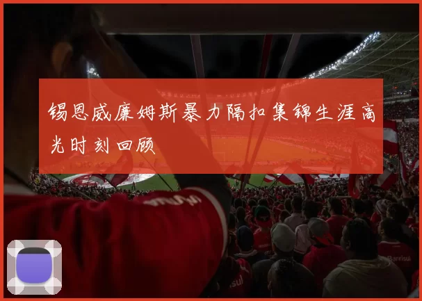 锡恩威廉姆斯暴力隔扣集锦生涯高光时刻回顾