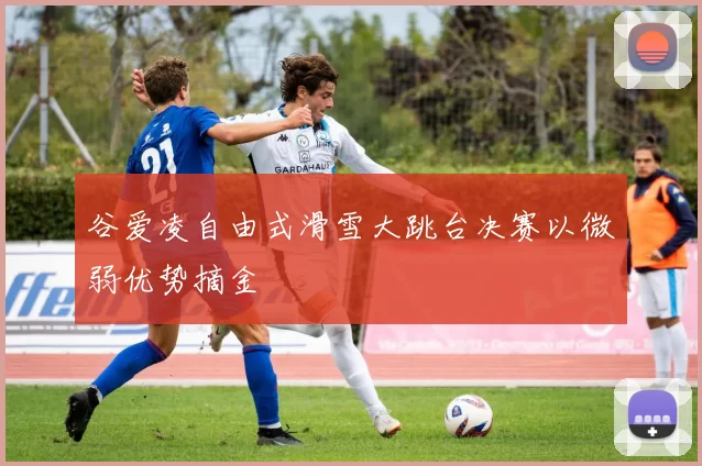 谷爱凌自由式滑雪大跳台决赛以微弱优势摘金